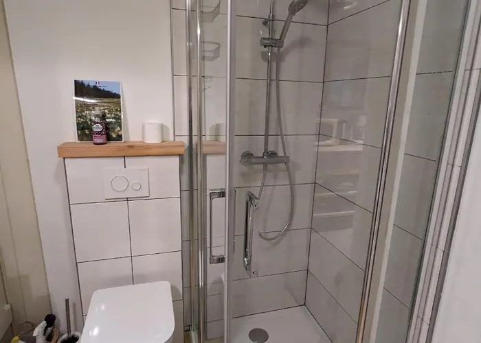 Apartmán Au Coeur Du Centre Gérardmer